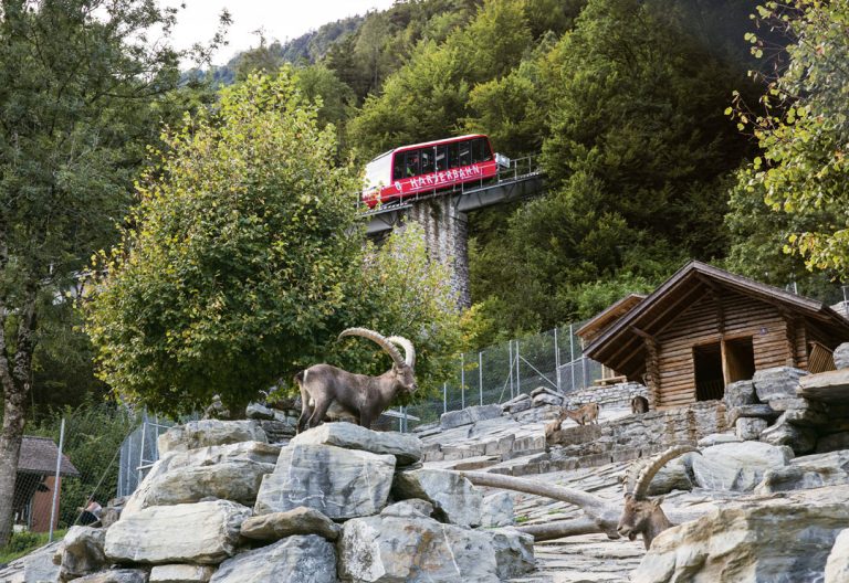 harderbahn-harder-kulm-interlaken-5
